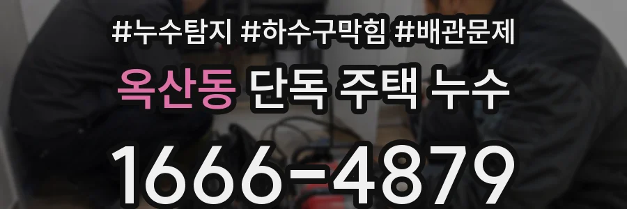 옥산동 단독 주택 누수