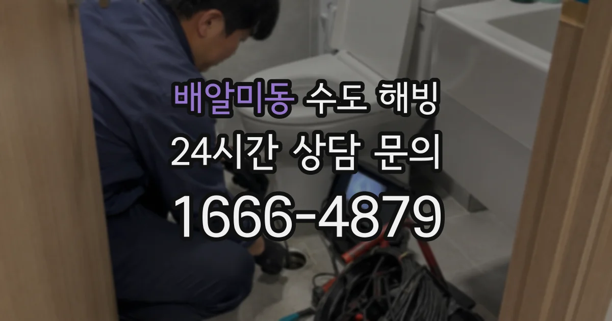 배알미동 수도 해빙