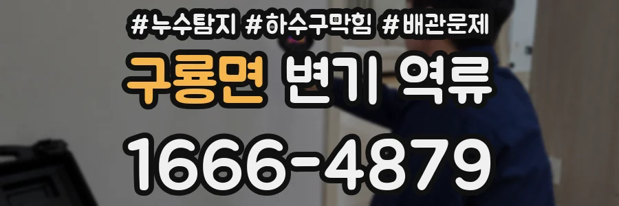 구룡면 변기 역류