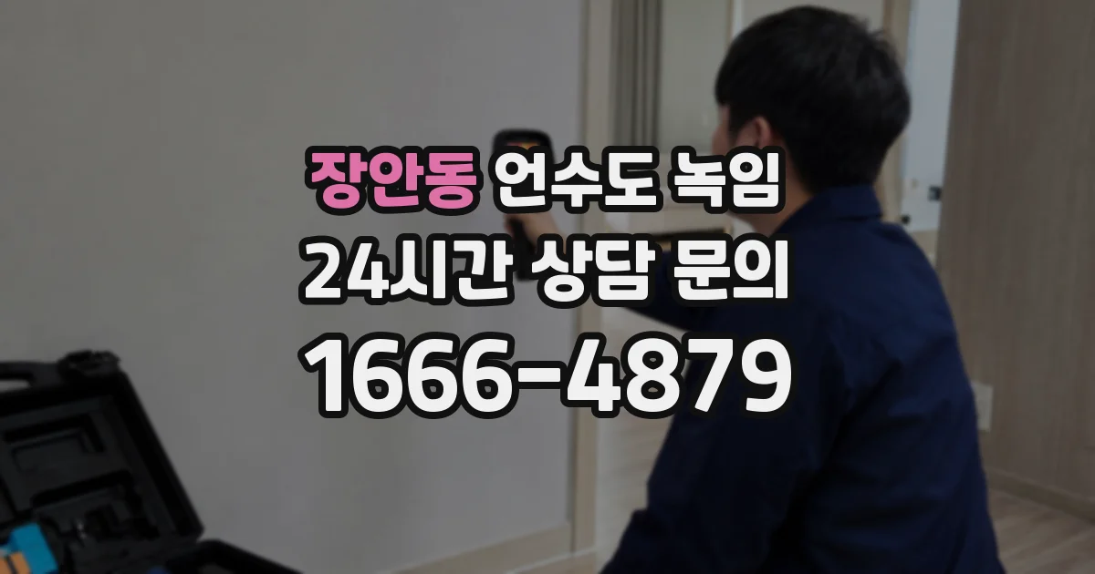 장안동 언수도 녹임