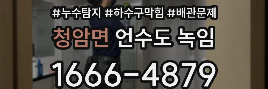 청암면 언수도 녹임