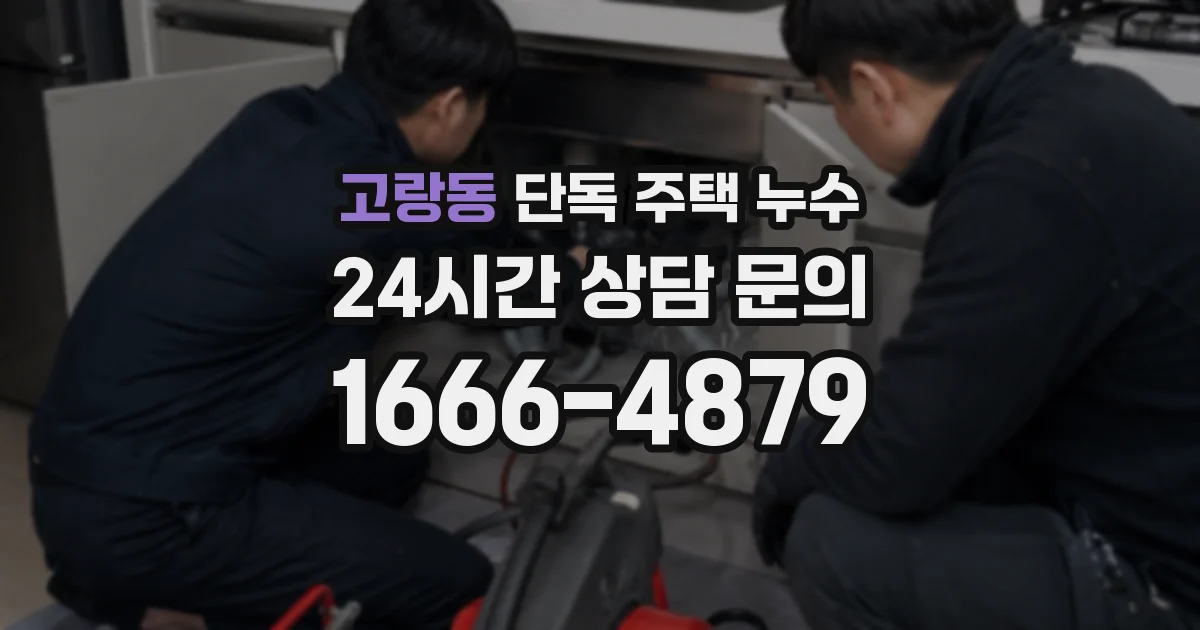 고랑동 단독 주택 누수