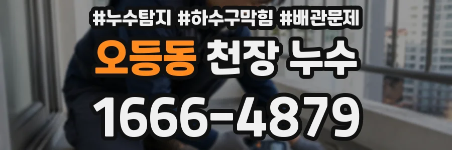 오등동 천장 누수