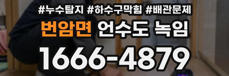 번암면 언수도 녹임