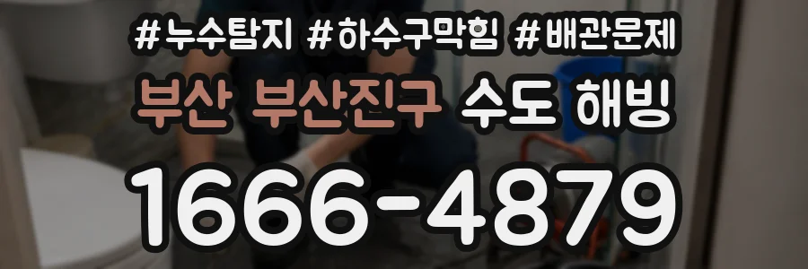 부산 부산진구 수도 해빙