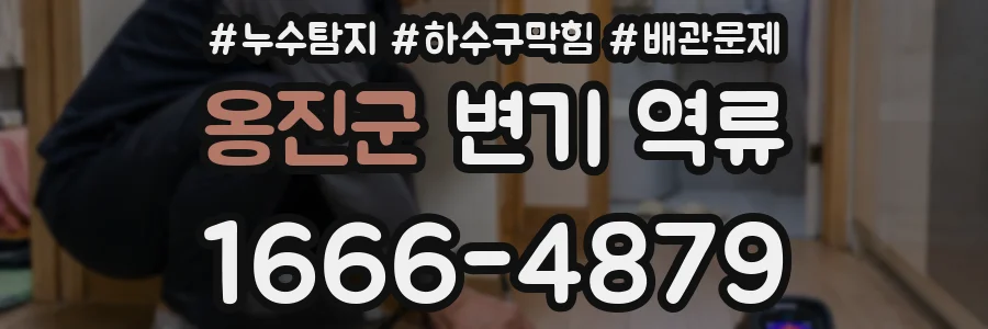 옹진군 변기 역류