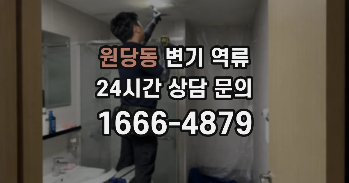 원당동 변기 역류