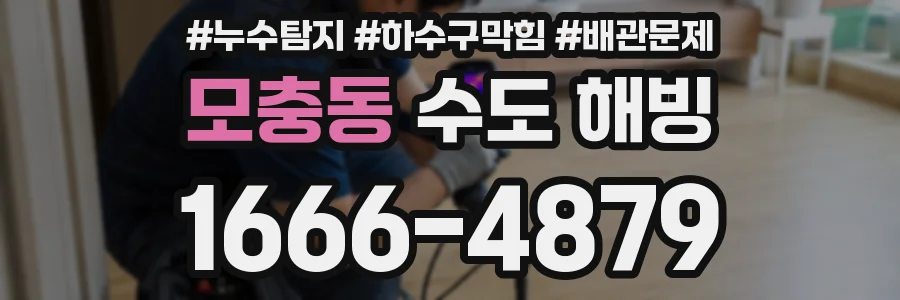 모충동 수도 해빙