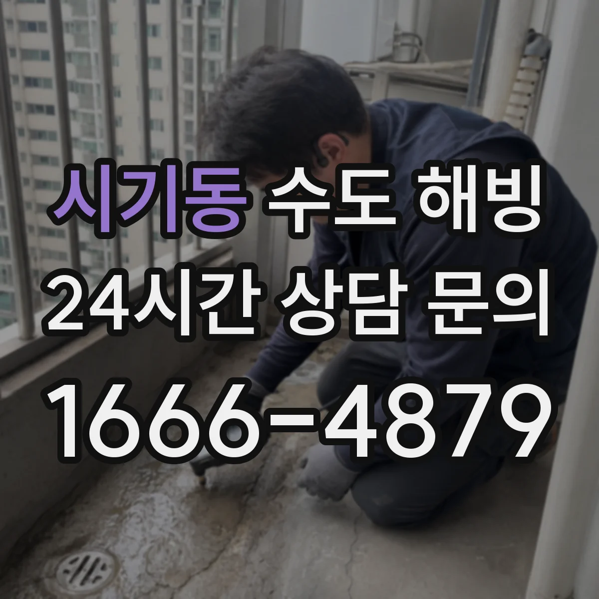 시기동 수도 해빙