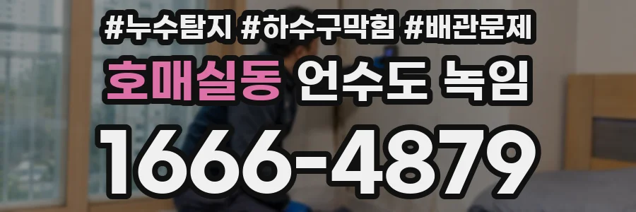 호매실동 언수도 녹임