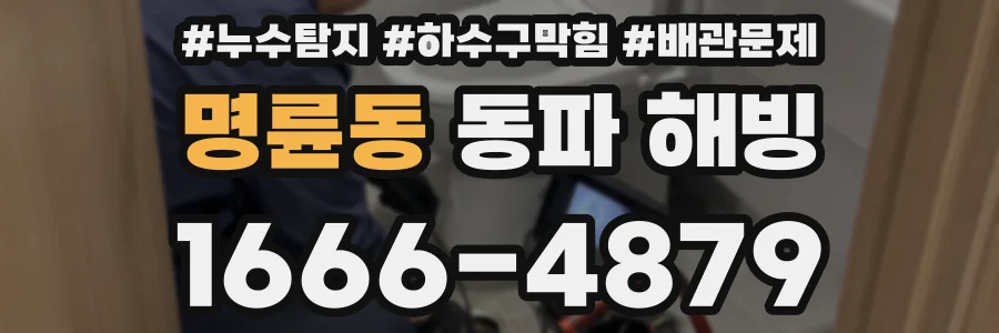 명륜동 동파 해빙