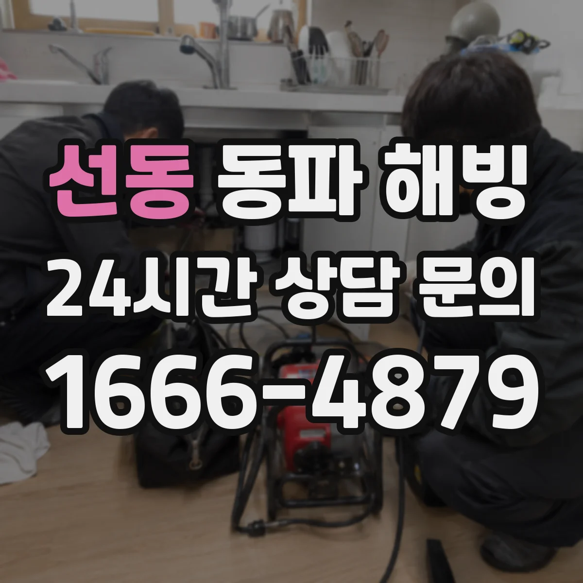 선동 동파 해빙