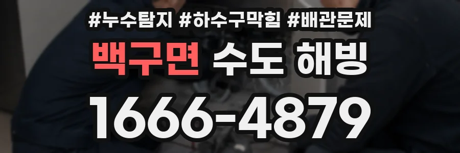 백구면 수도 해빙