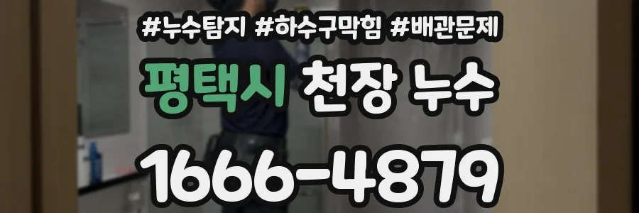 평택시 천장 누수