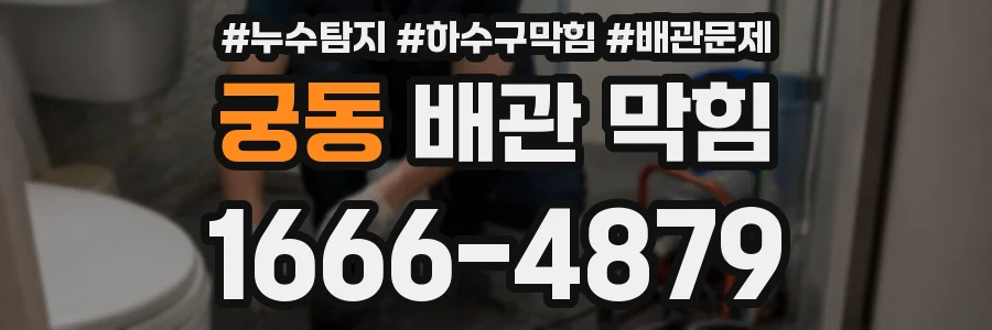 궁동 배관 막힘