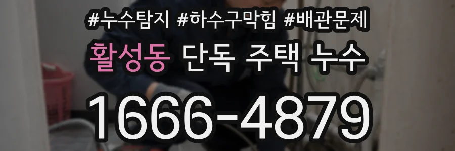활성동 단독 주택 누수