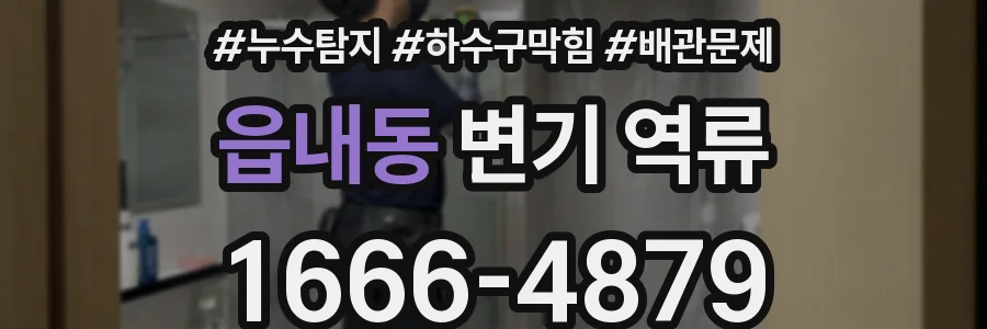 읍내동 변기 역류