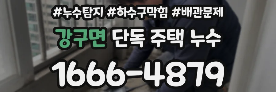 강구면 단독 주택 누수