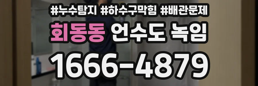 회동동 언수도 녹임