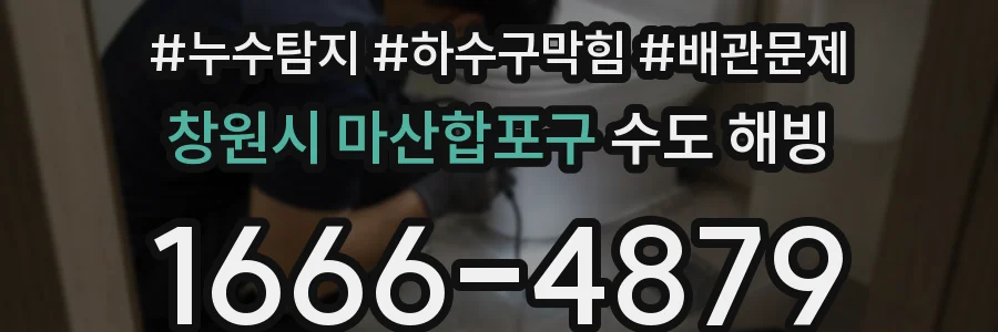 창원시 마산합포구 수도 해빙