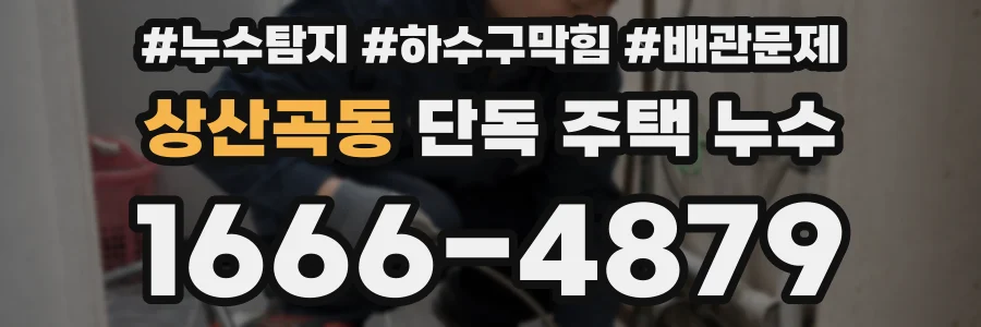 상산곡동 단독 주택 누수