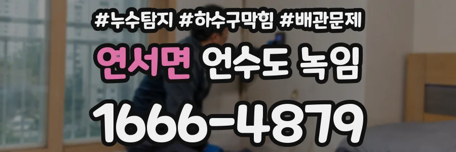 연서면 언수도 녹임