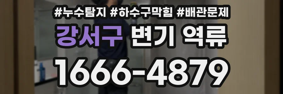 강서구 변기 역류