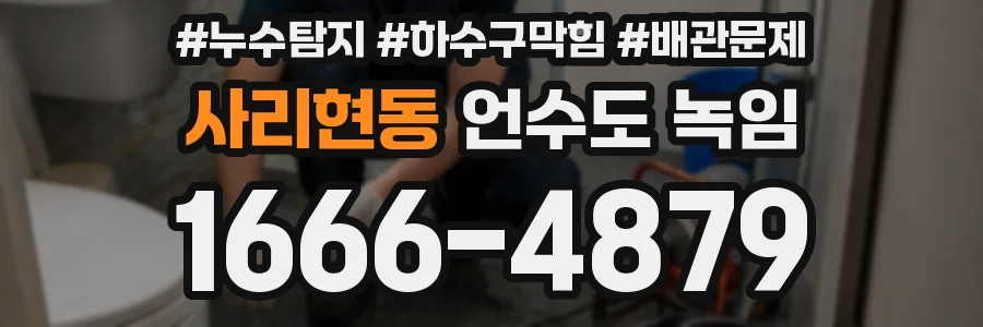사리현동 언수도 녹임