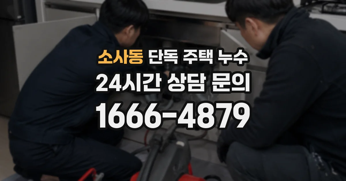 소사동 단독 주택 누수
