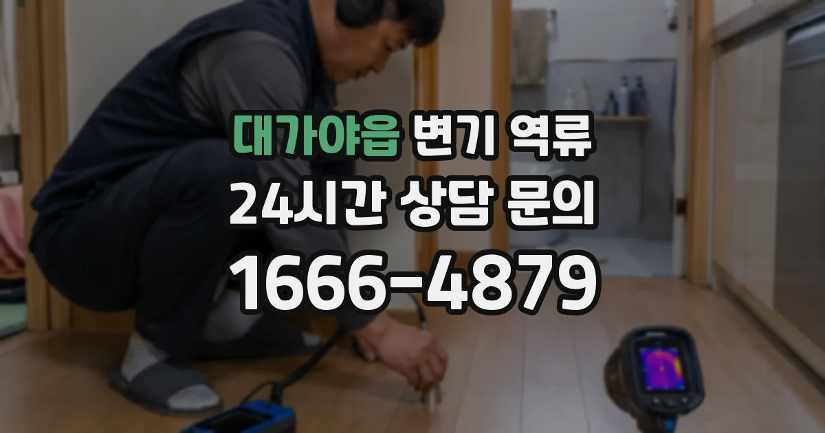 대가야읍 변기 역류
