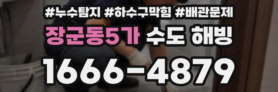 장군동5가 수도 해빙