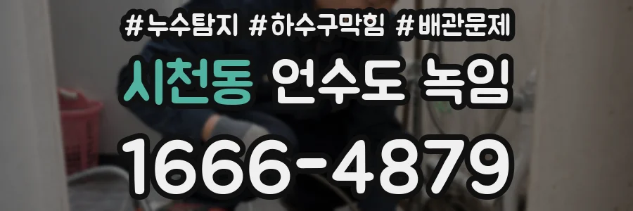 시천동 언수도 녹임
