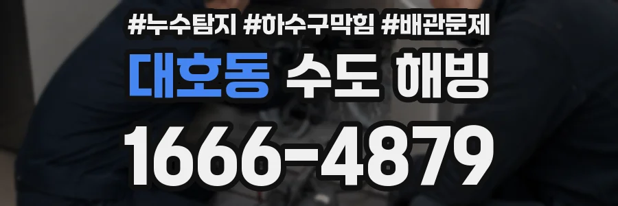 대호동 수도 해빙