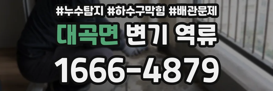 대곡면 변기 역류