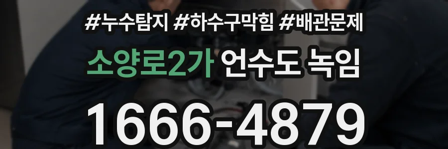 소양로2가 언수도 녹임