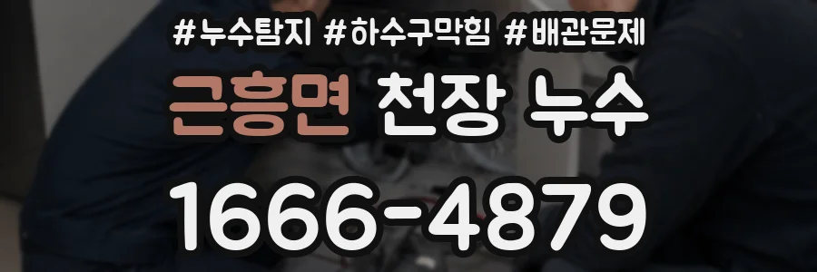 근흥면 천장 누수