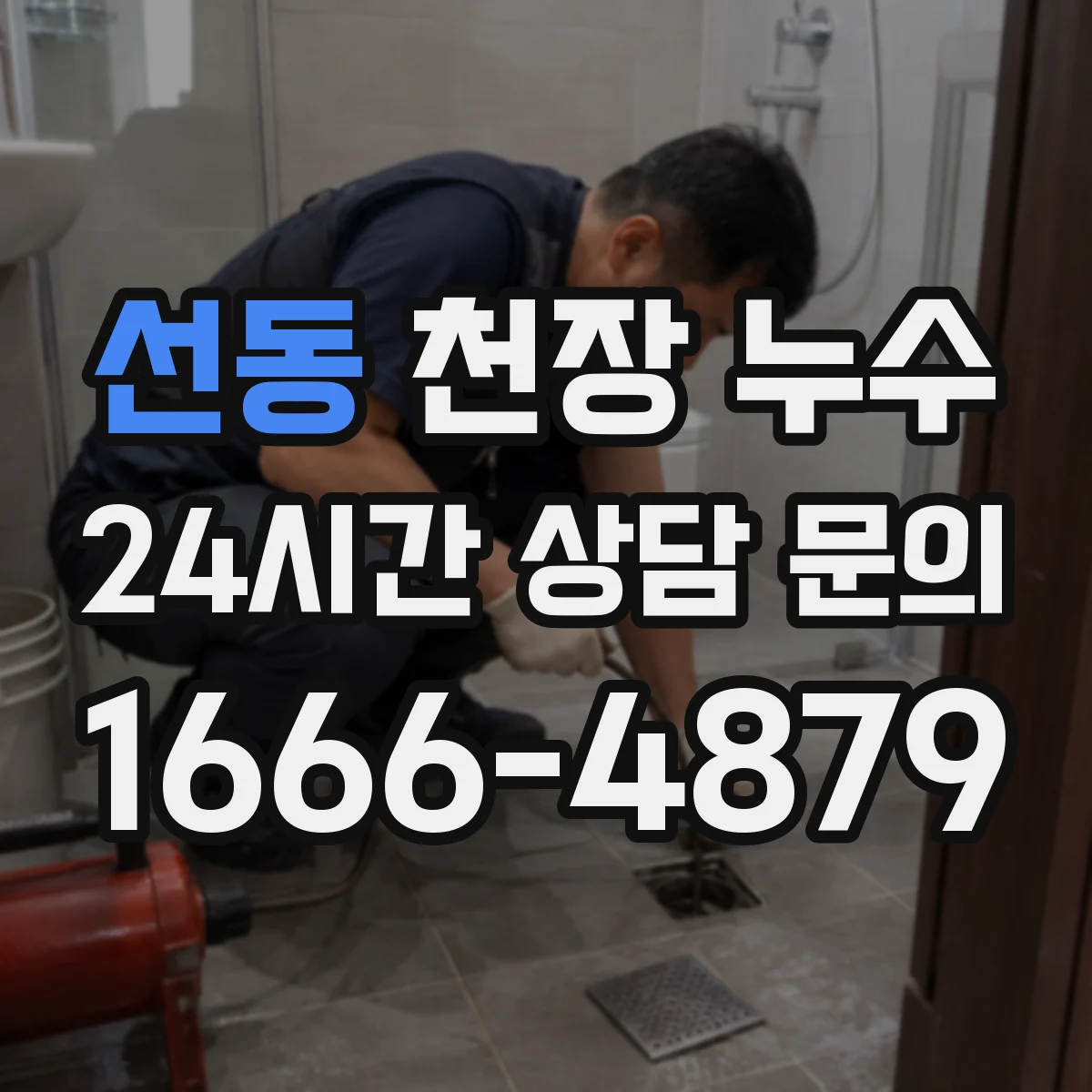 선동 천장 누수