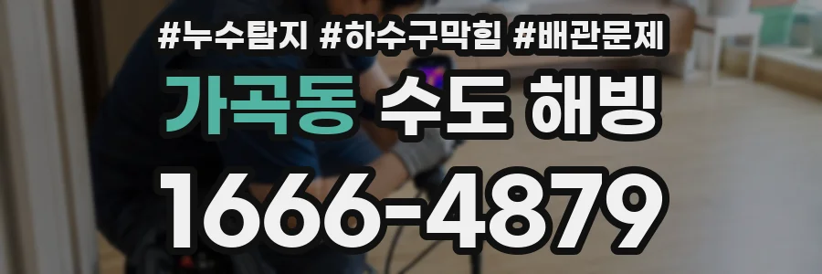가곡동 수도 해빙