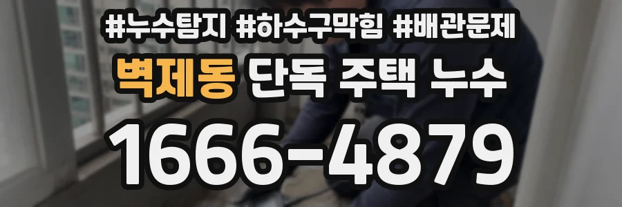 벽제동 단독 주택 누수