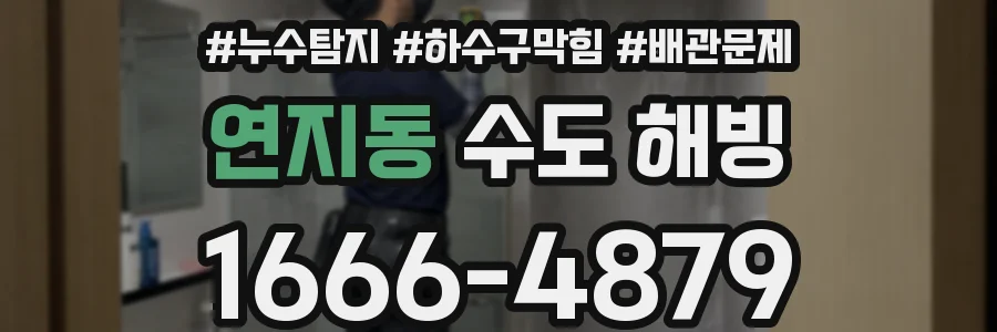 연지동 수도 해빙