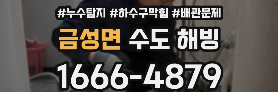 금성면 수도 해빙