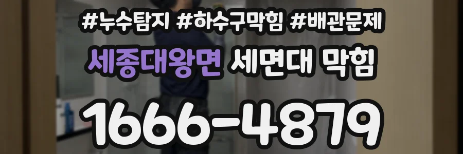 세종대왕면 세면대 막힘