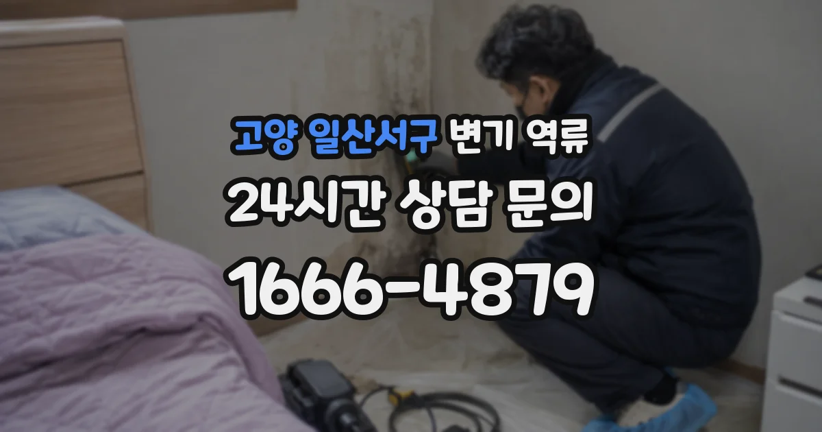 고양 일산서구 변기 역류