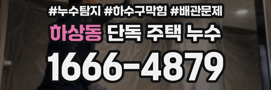 하상동 단독 주택 누수