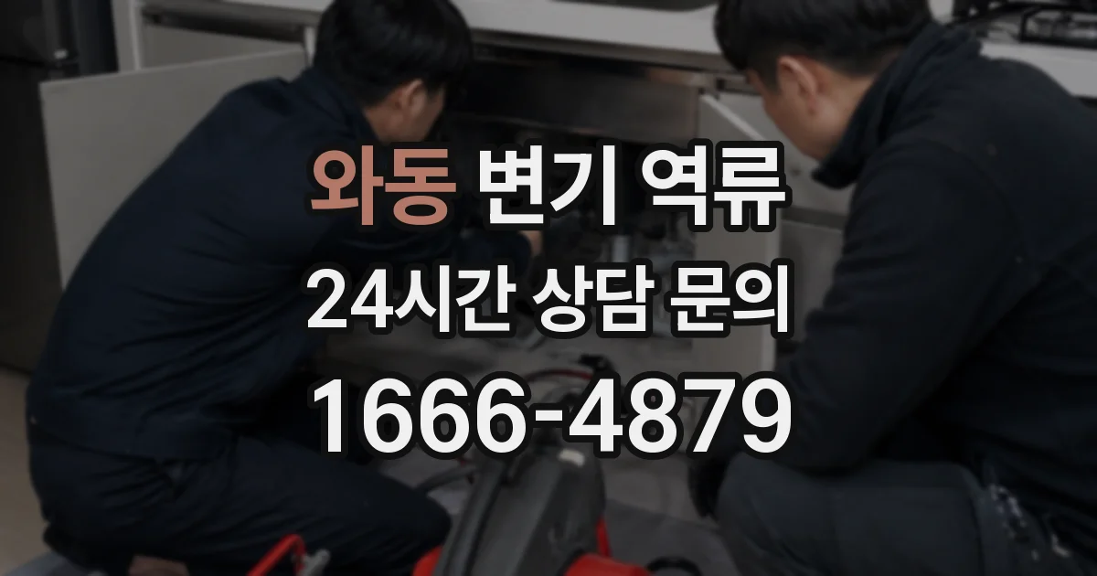 와동 변기 역류