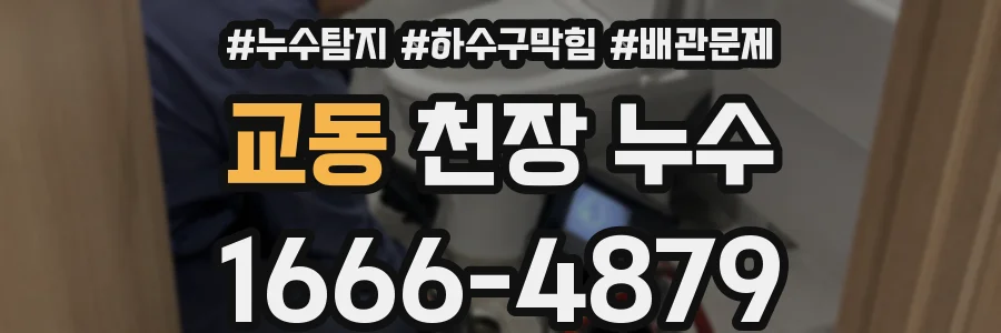 교동 천장 누수