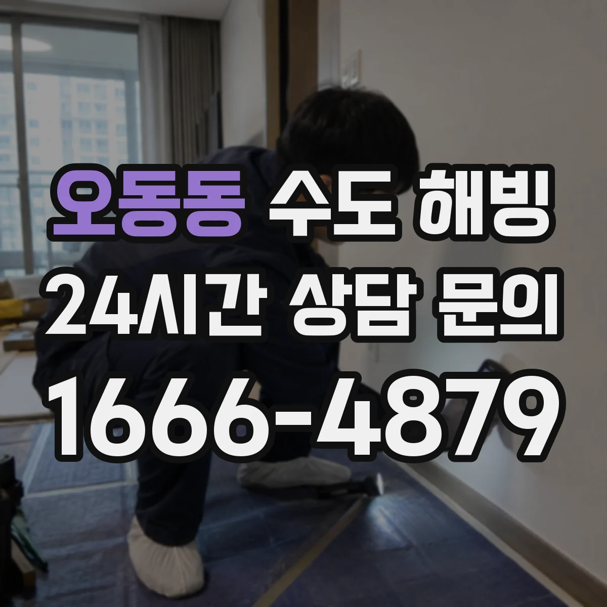 오동동 수도 해빙