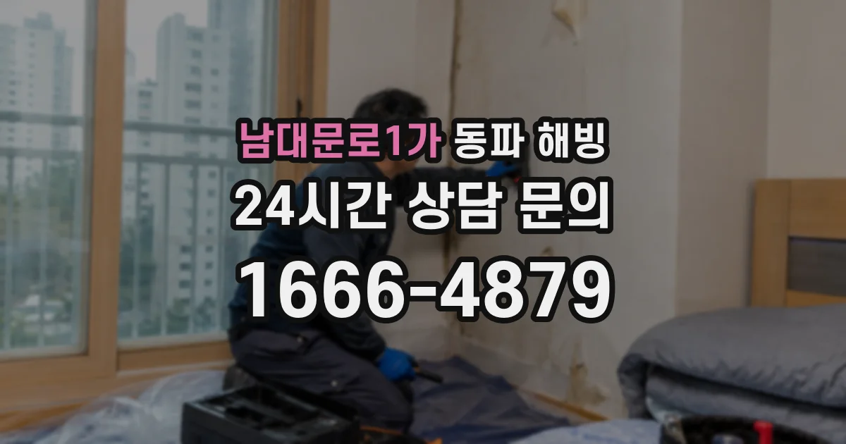 남대문로1가 동파 해빙