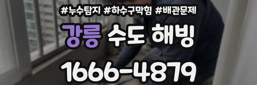 강릉 수도 해빙