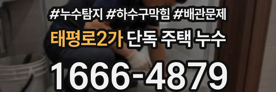 태평로2가 단독 주택 누수